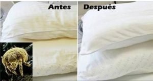 ignis-natura-salud-acaro-sabanas-lavar-almohadas.jpg