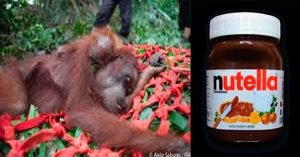 Nutella