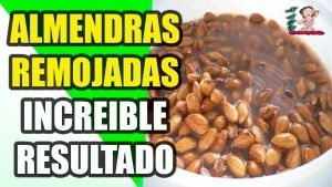 ignis-natura-salud-almendras-remojadas.jpg