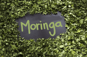 Moringa