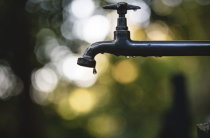 Agua