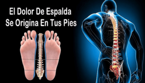 Dolor