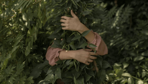 abrazo-arbol