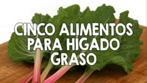 Hígado