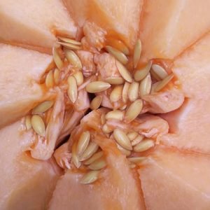 Ignis natura dieta melon