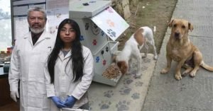 Perros