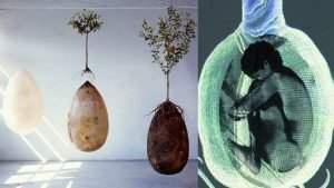 entierro-ecologico