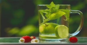 alimentos