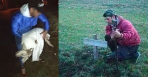 perros