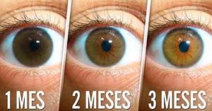 ojos