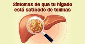 hígado