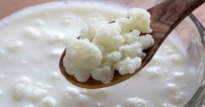 kéfir