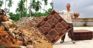 cocos pallets