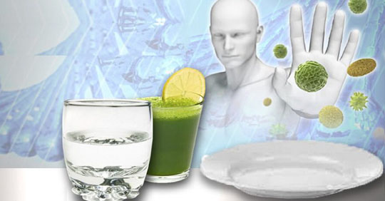 Ayunar 72 horas puede regenerar el sistema inmunológico según estudio