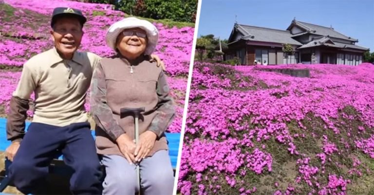 Hombre que planto miles de flores para que las oliera su esposa ciega