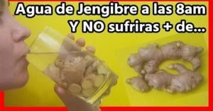 ignis-natura-salud-jengibre