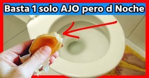 ignis-natura-salud-ajo
