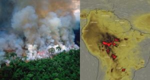 Amazonas
