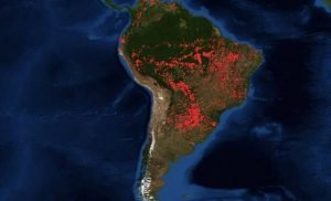 amazonas