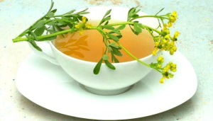 ruda-planta-medicina-natural