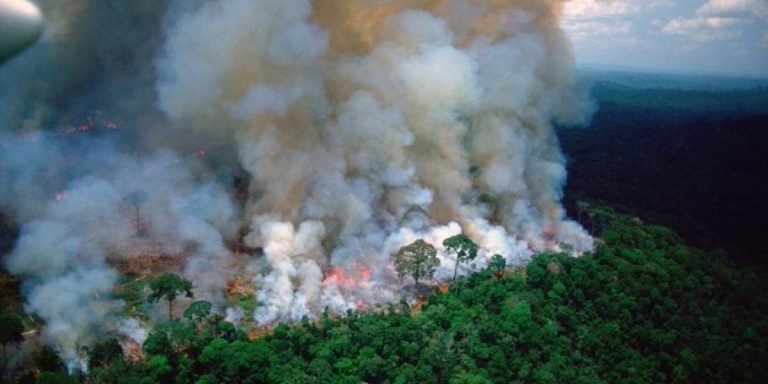 amazonas
