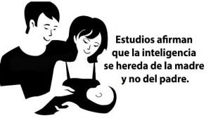 ignis-natura-inteligencia-madre