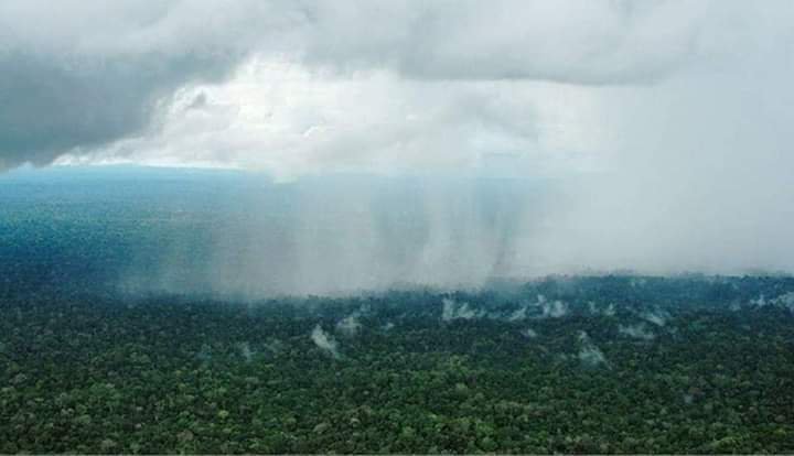 lluvia-AMAZONAS