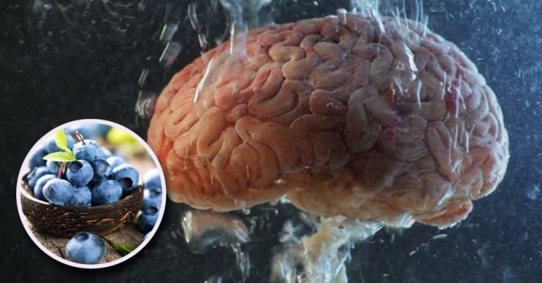 dieta beneficiosa para tu cerebro