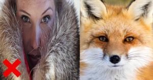 Ignis natura moda piel animal