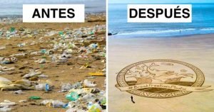 limpieza de las playas