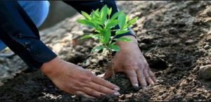 enfrentar el cambio climático