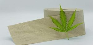 papel higiénico de cáñamo