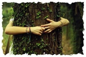 abrazar_arbol_borde