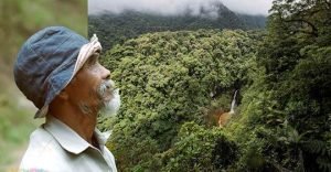 abuelo plantó arboles en Indonesia