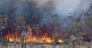 cambio climático y coronavirus