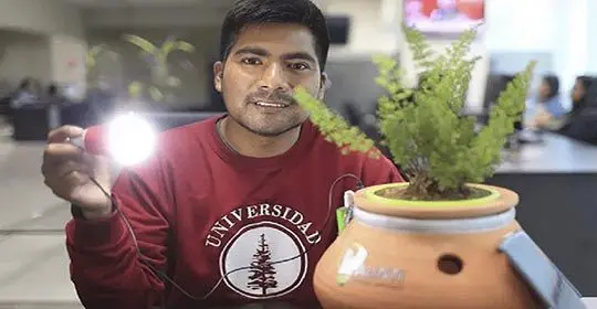 Joven inventor crea “Alinti”, maceta que genera energía eléctrica a partir de las plantas