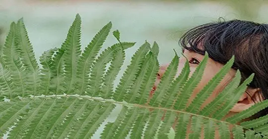 16 plantas para potenciar tu bienestar psíquico y físico