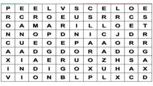 Sopa de letras portada ignisnatura