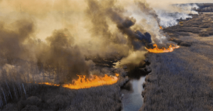 incendios en Chernobyl