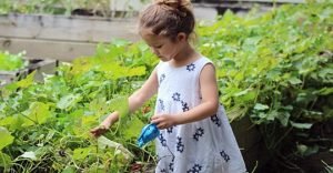 niños naturaleza juegos
