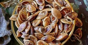 semillas antiguas