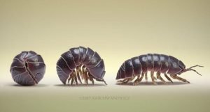 bichos