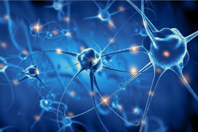 cerebro