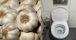 Ajo a