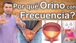 Orino