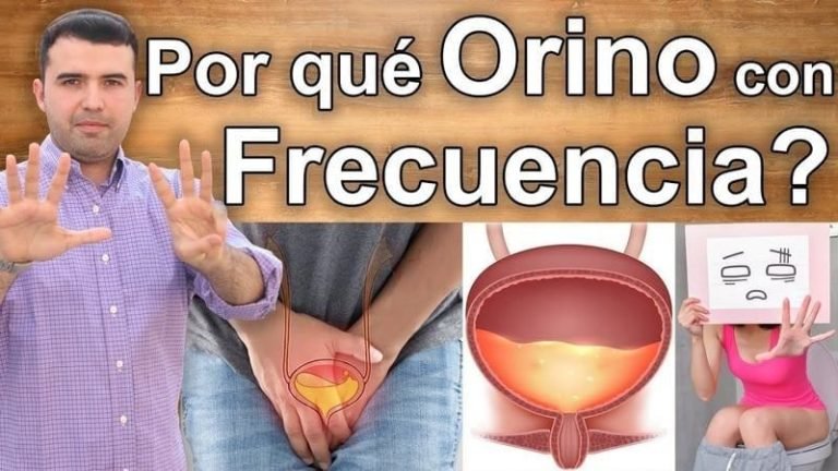 Orino