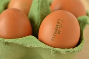 alimentos