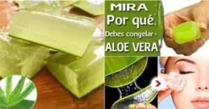 aloe vera congelado