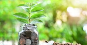 árbol del dinero