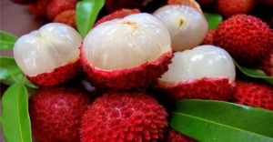 lichi